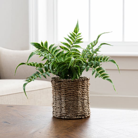 Artificial Fern in Rattan Plant Pot