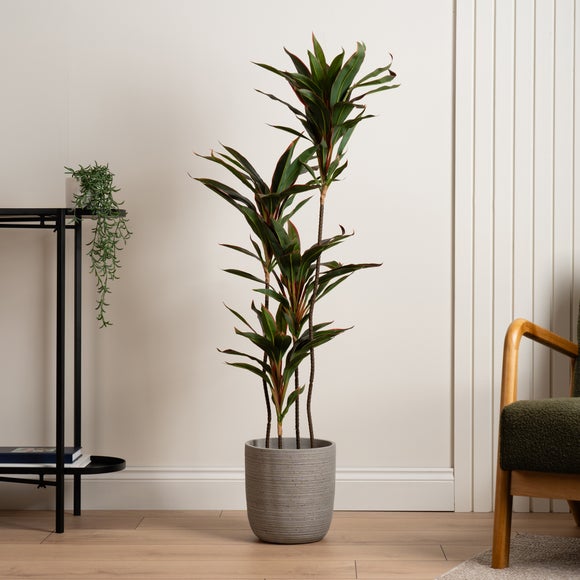 Artificial Real-Touch Red Dracaena Plant in Black Pot