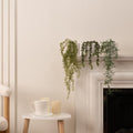 Artificial Trailing Plants in White Ceramic Pots – Set of 3