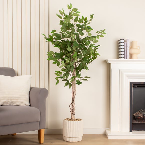 Artificial Ficus Tree in Cream Ribbed Cement Pot