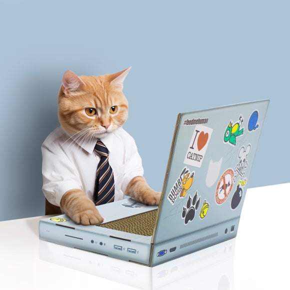 Novelty Laptop Cardboard Cat Scratching Pad with Toy Mouse – 33cm